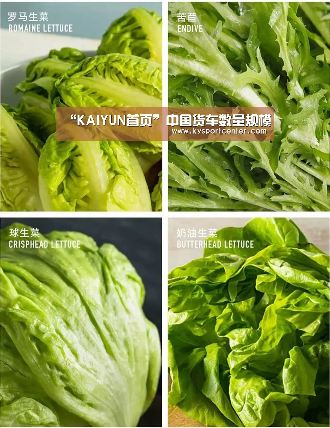 开云体育赛事