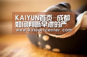 开云体育赛事