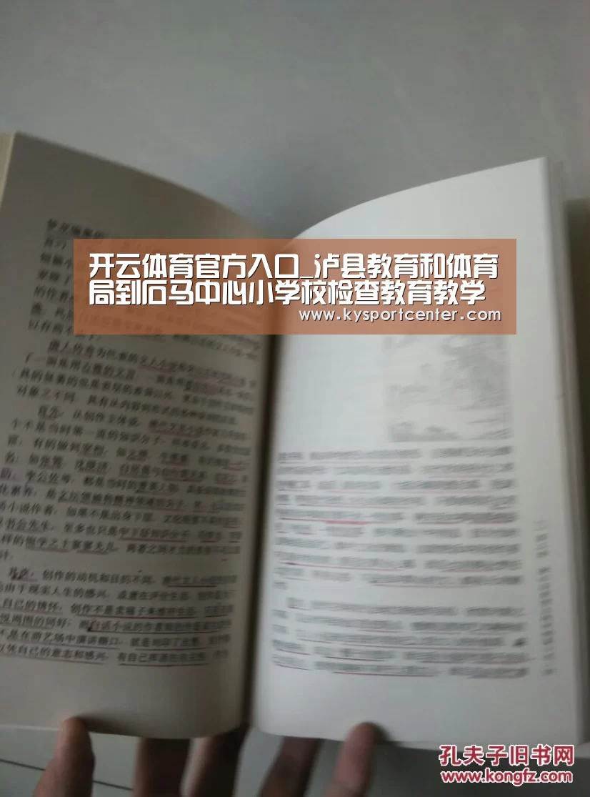 开云比分