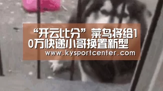 “开云比分”菜鸟将给10万快递小哥换置新型标准快递筐(图1) 开云比分