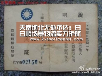 天南地北无处不达!日日顺场景物流实力护航1111|开云比分(图1) 开云比分