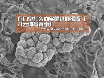 KAIYUN首页