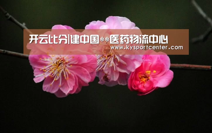开云体育官方入口