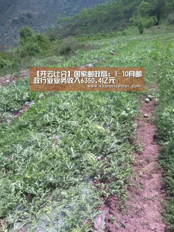 KAIYUN首页